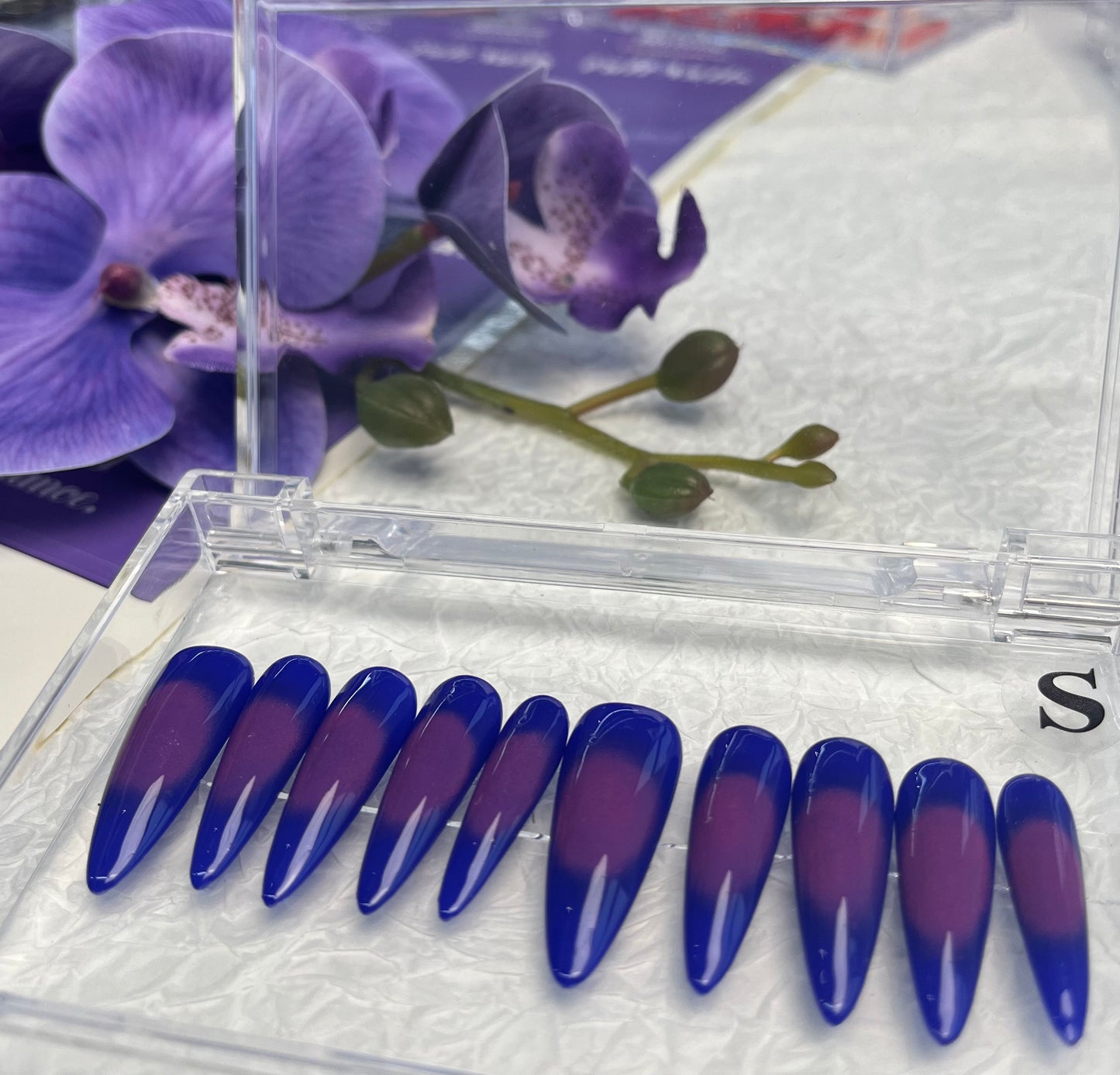 Violet - Press On Nails